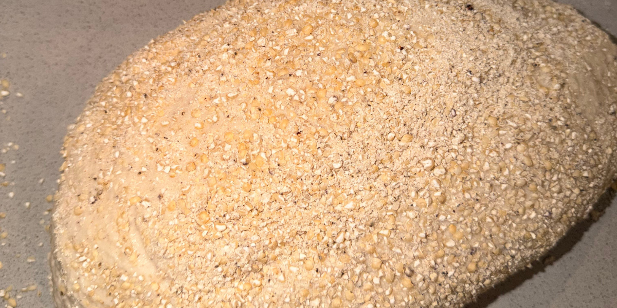 Gluten-Free Sourdough: How to Get a Proper Rise and Tang (Even in Winter)